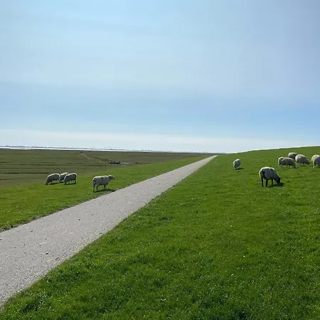 Lithweghaus - Fewo Ronja * Nordstrand